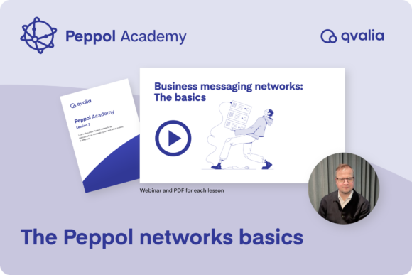 Peppol networks basics