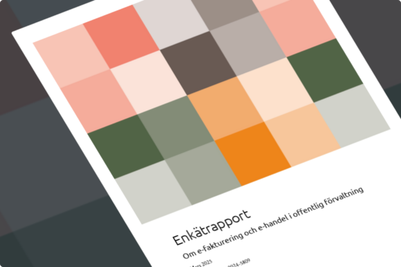 Rapport e-handel offentlig sektor